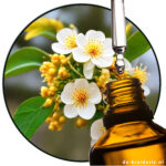 Nerolidol-Aromachemikalie