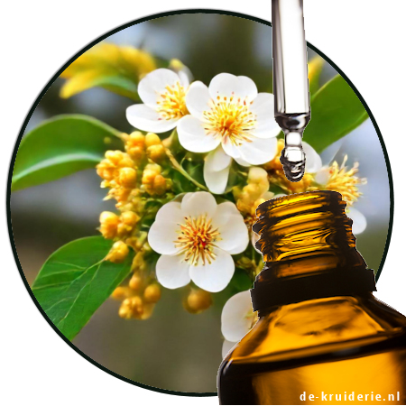 nerolidol aroma chemical
