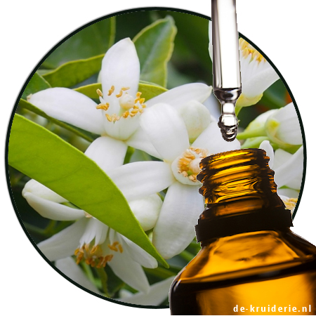Nerolin Bromelia Ethyl 2-naphthyl ether