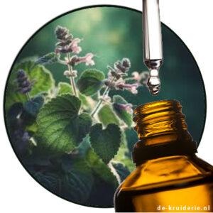 Patchoulol (Patchouli Terpenes) IFF
