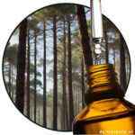 Terpineol (Natural) AC