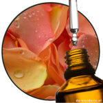 Undecylenic / 10-Undecanal - Aldehyde C11 (Givaudan) AC