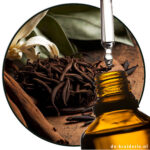 Vanilla Tobacco (PO)