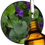 Viooltjesblad Parfumolie