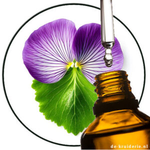 Viooltjesblad-etherischeolie