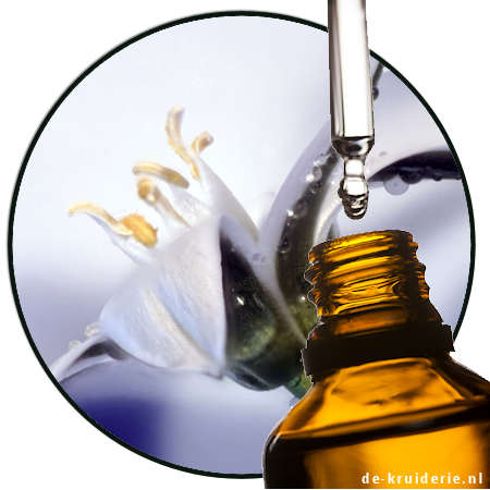 alpha cinnamic aldehyde 1 Amyl Cinnamic Aldehyde / Jasminaldehyde (ACA) AC - Afbeelding 1