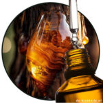 amber essential oil Pinus succinifera