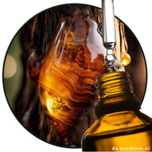 amber etherische olie Pinus succinifera