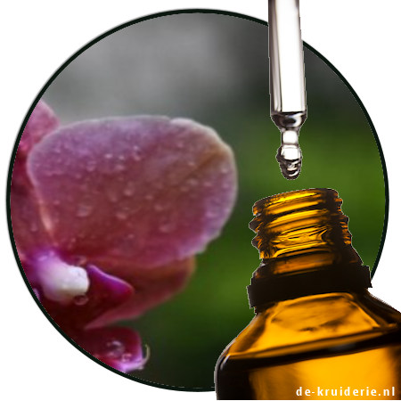 amyl salicylate