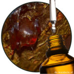 benzoe siam thailand resinoide