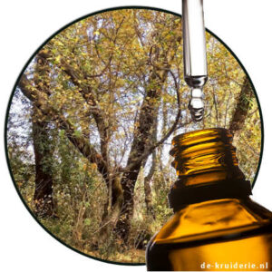 benzoin liquid amber orientalis etherische olie
