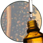 Beta-Caryophyllen / β-Caryophyllen (natürlich) AC