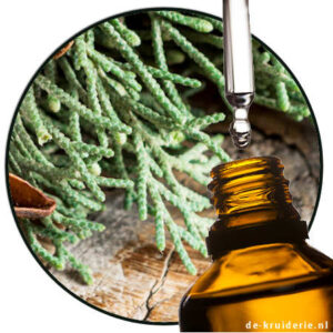 beta pinene