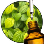 betel blad etherische olie