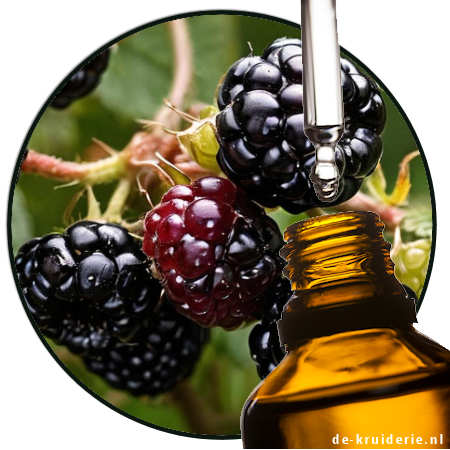 Blackberries (PO)