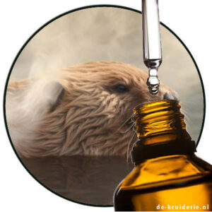 castoreum parfumolie