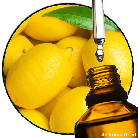 Lemon (NI)