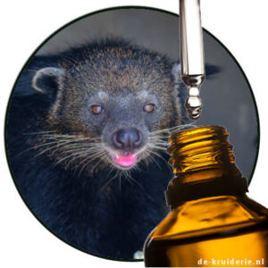 civet parfumolie