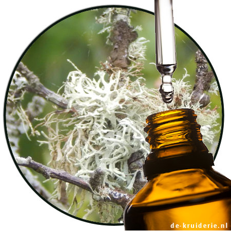 Oakmoss - Atranol free (EO)