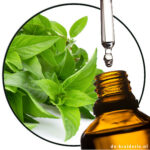 Estragole (Natural) AC