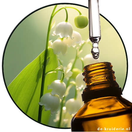 florosa Florol® (DSM-Firmenich) AC - Image 1