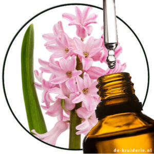 hyacinth perfume oil