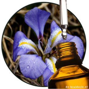 iriswortel parfumolie
