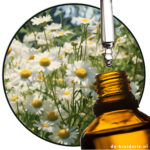Chamomile CO-2 Extract