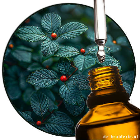 methyl benzoate methyl benzoate