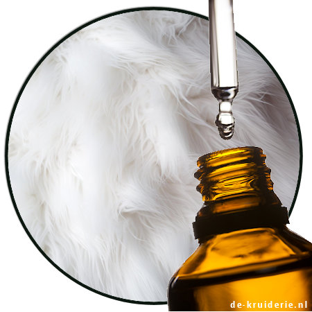 musk white parfumolie