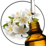 Nerolin Yara Yara (AC)