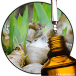 Orris - Iriswurzel (EO)