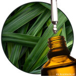 pandanblad parfumolie