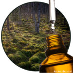 peatmoss veenmos veramoss evernyl