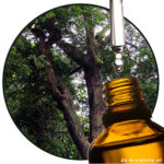 Peru Balsam Resinoid