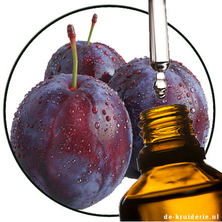 Plum (PO)
