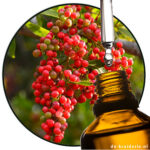 Pepper Pink (Albert Vieille) EO