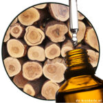 Sandalwood (Austr.) EO