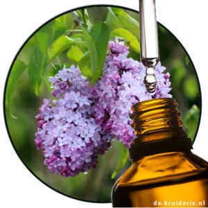 lilac essential oil