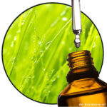 Stemone® (Givaudan) AC