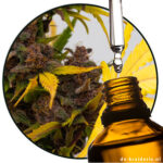 Terpinolen Aroma chemisch natürlich