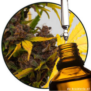 terpinolene aroma chemical natuurlijk