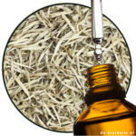 thee white parfumolie