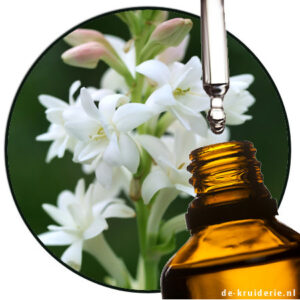 tuberose Polianthes tuberosa essential oil