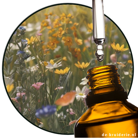 weidebloemen parfumolie