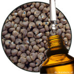 Ambrettolide Givaudan