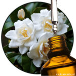 Benzyl Acetate (Lanxess) AC