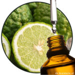 Bergamot Indi FIRMENICH