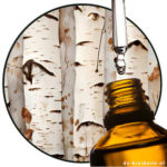 Birch tar (rectified) EO