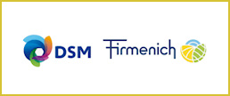DSM FIRMENICH LOGO